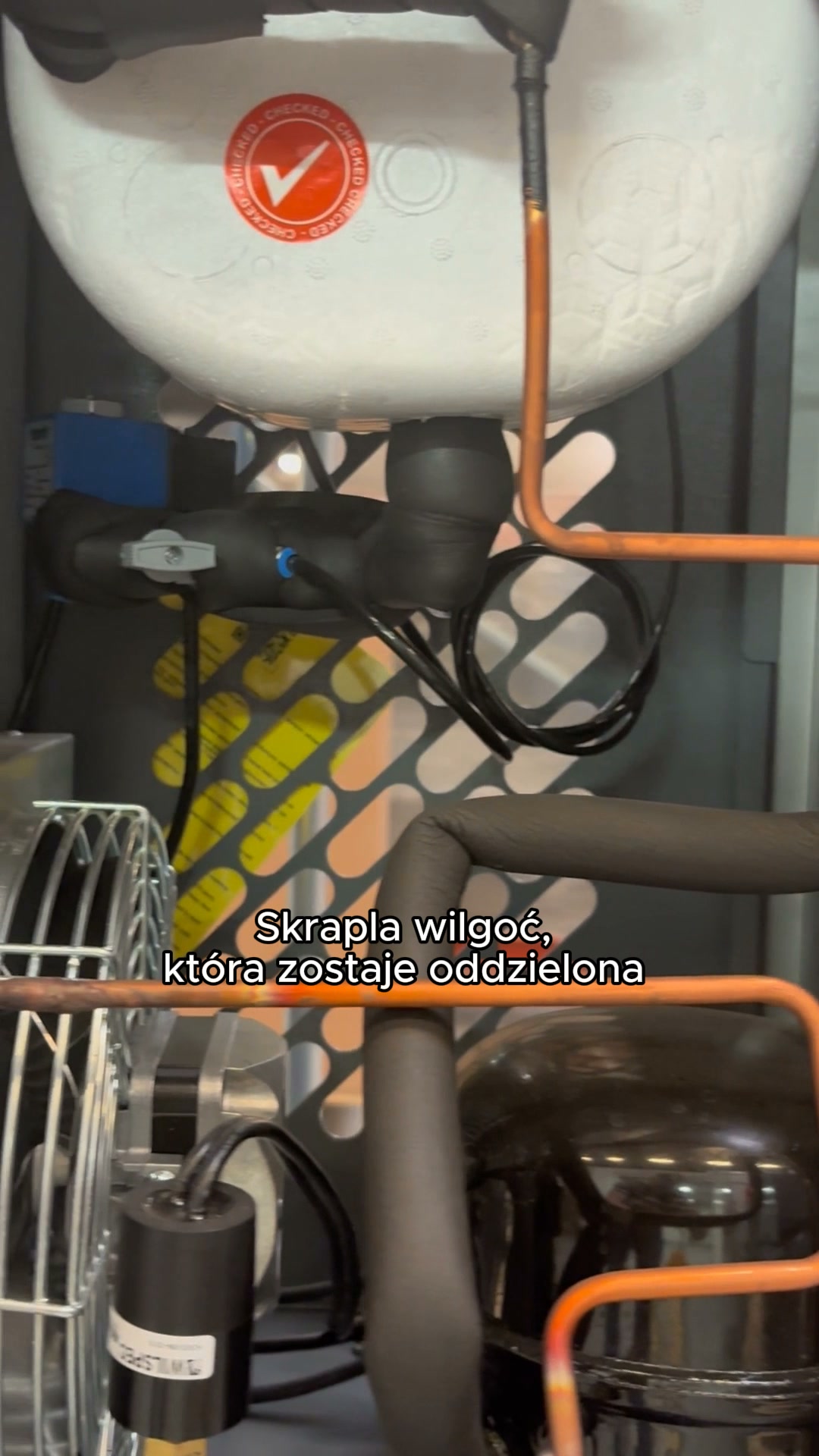 Zdjęcie posta